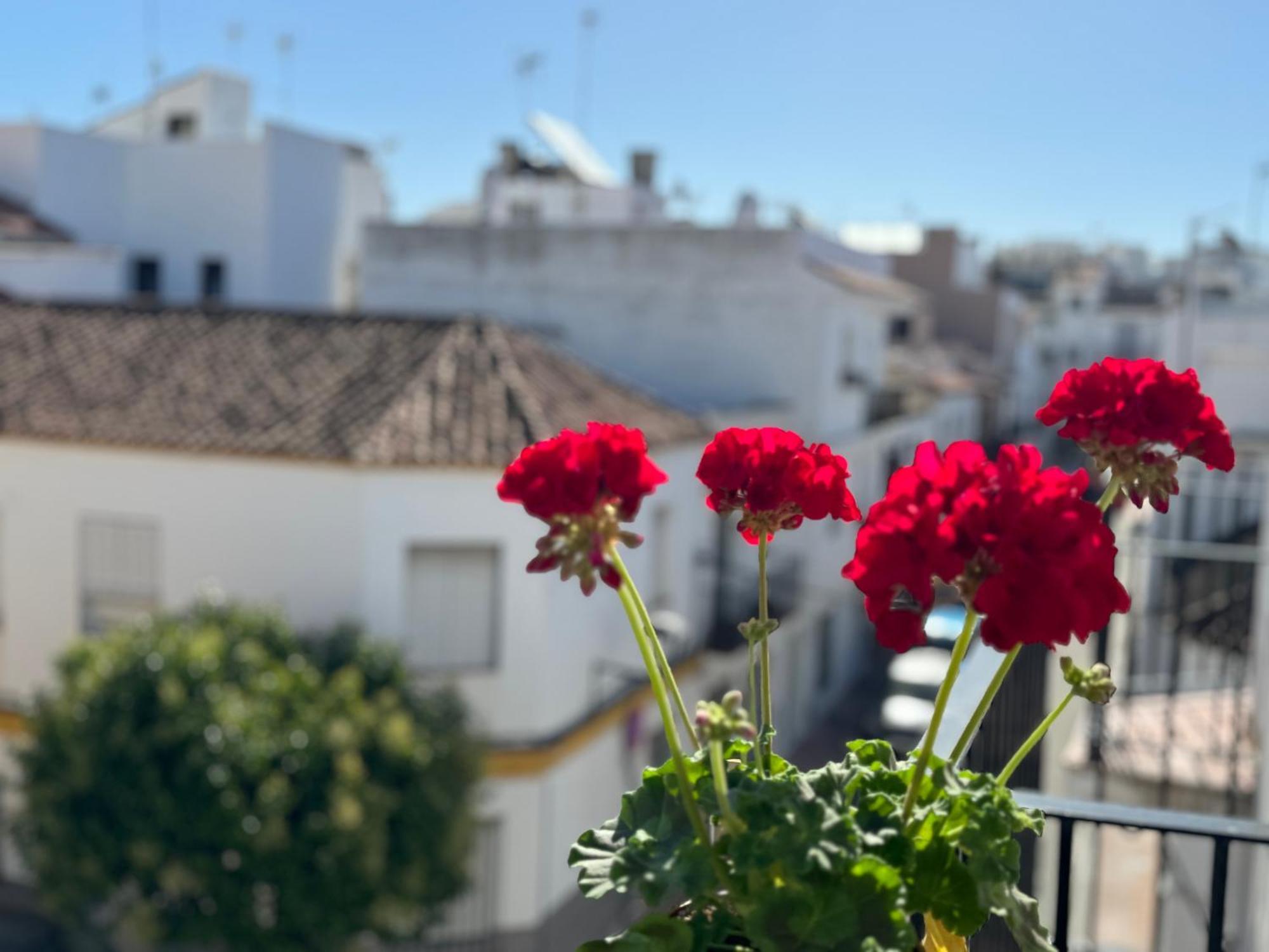 Encantadora Casa En El Corazon De Estepona Extérieur photo